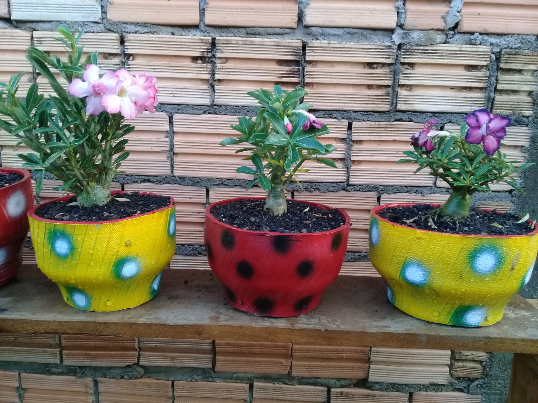 Vasos decorados