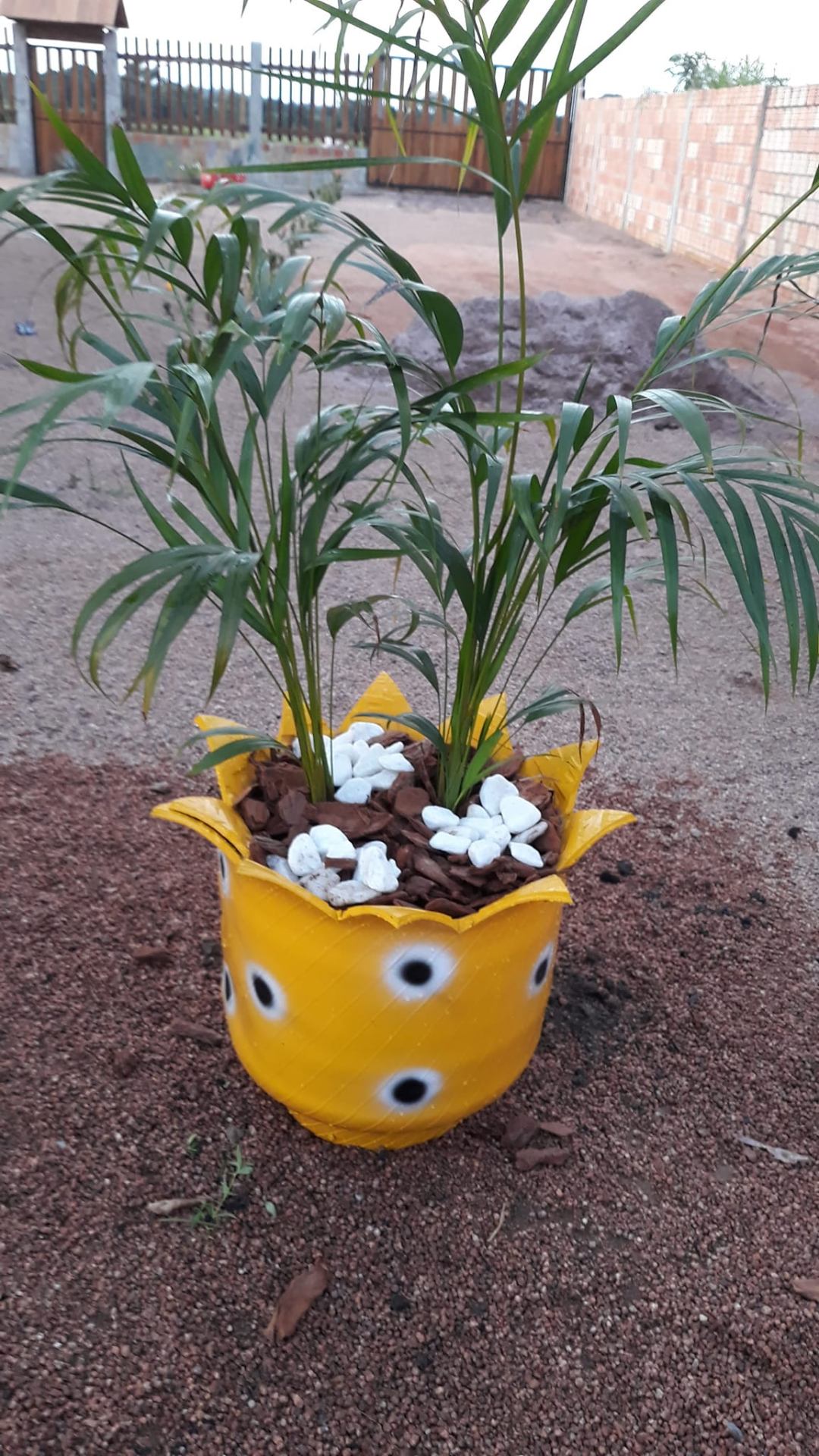 Vaso amarelo